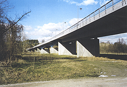 Roadway bridge crossing the Danube 